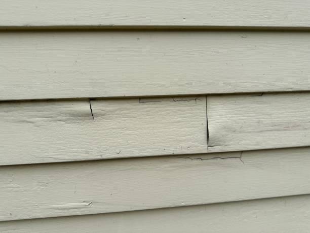 Reliable Monroe, WI Siding Installation Solutions